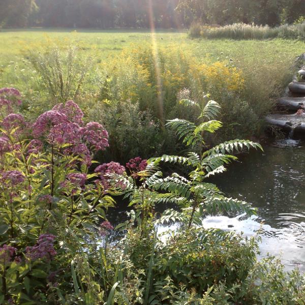 Waterway