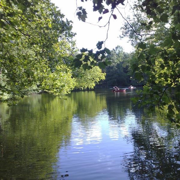 Boating am see
