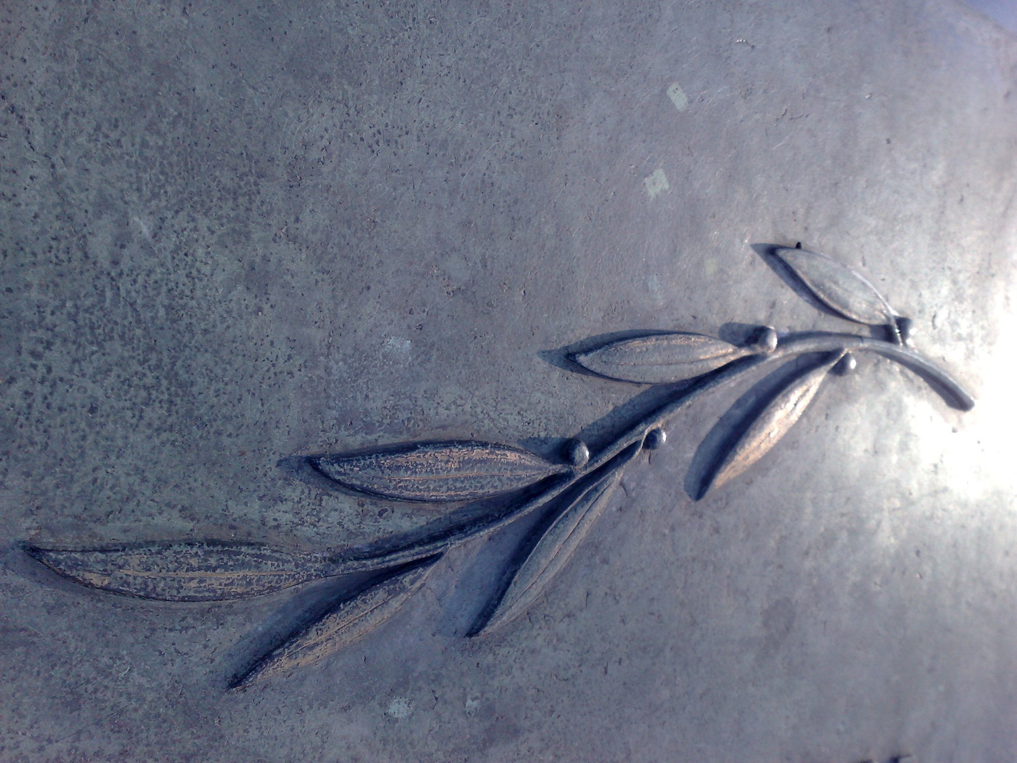 Branch