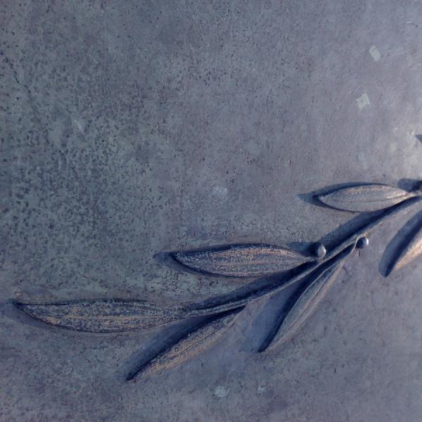 Branch