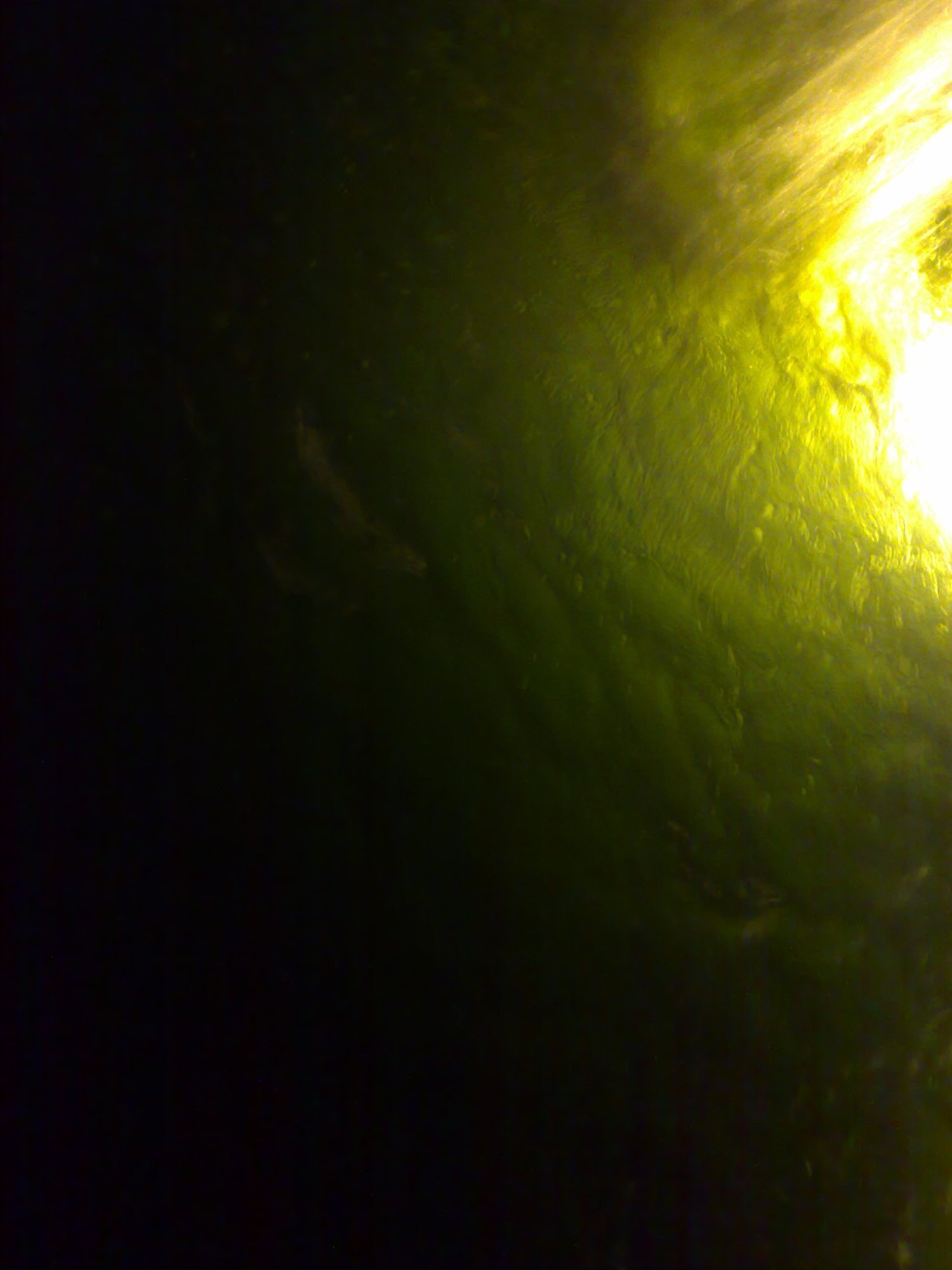 Green and Black