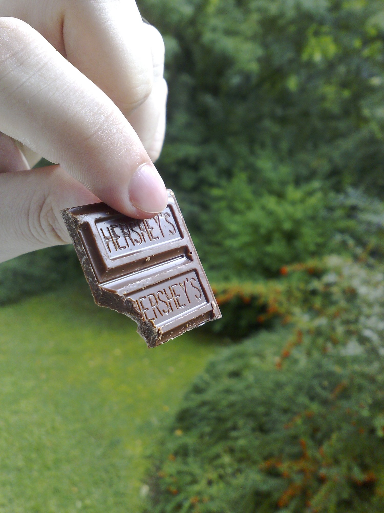Hershey's - how do they make it taste so bad?