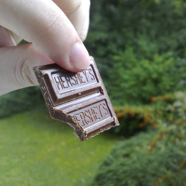 Hershey's - how do they make it taste so bad?