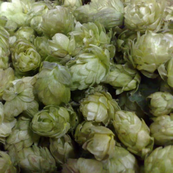 Hopfen goodness
