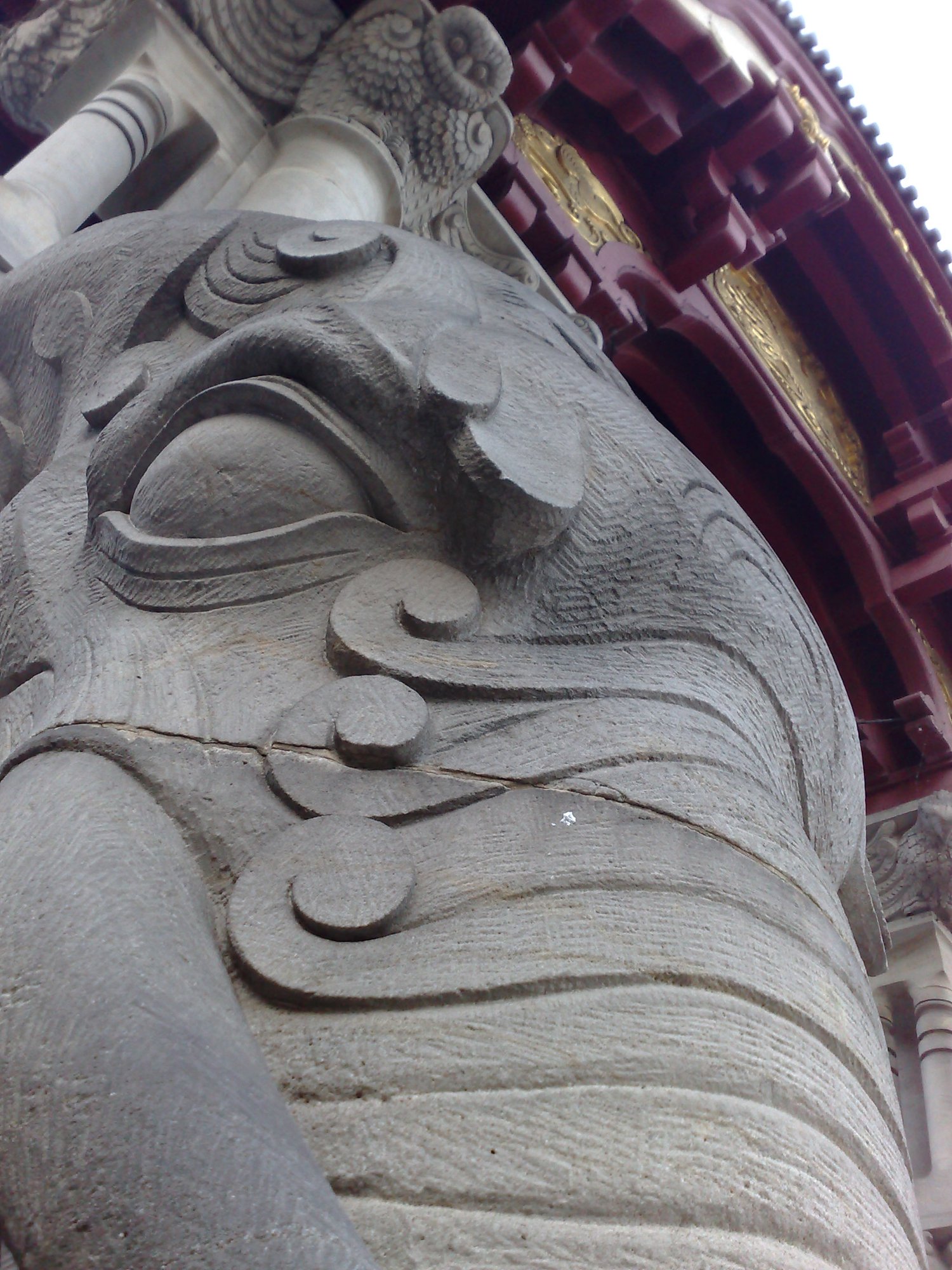 Looking into the elephant's eye