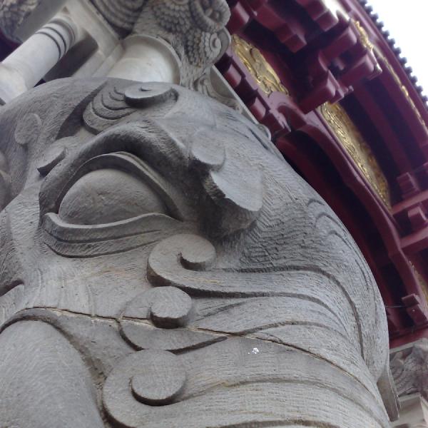 Looking into the elephant's eye