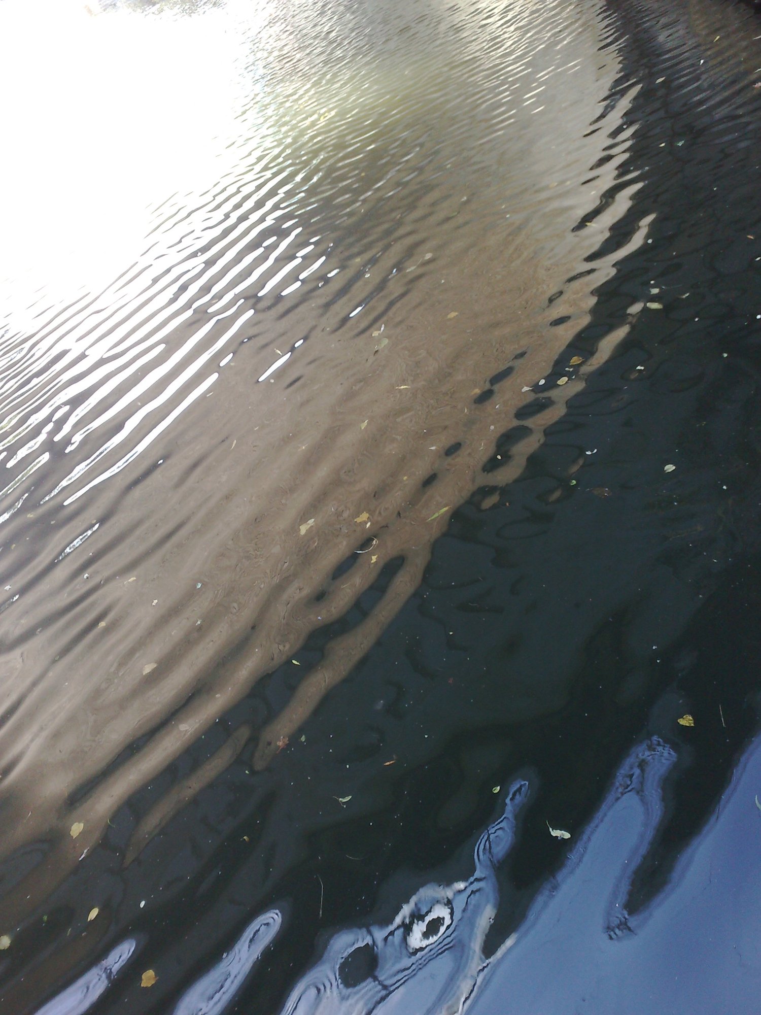 Ripple ripple in the water