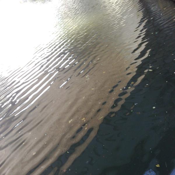 Ripple ripple in the water