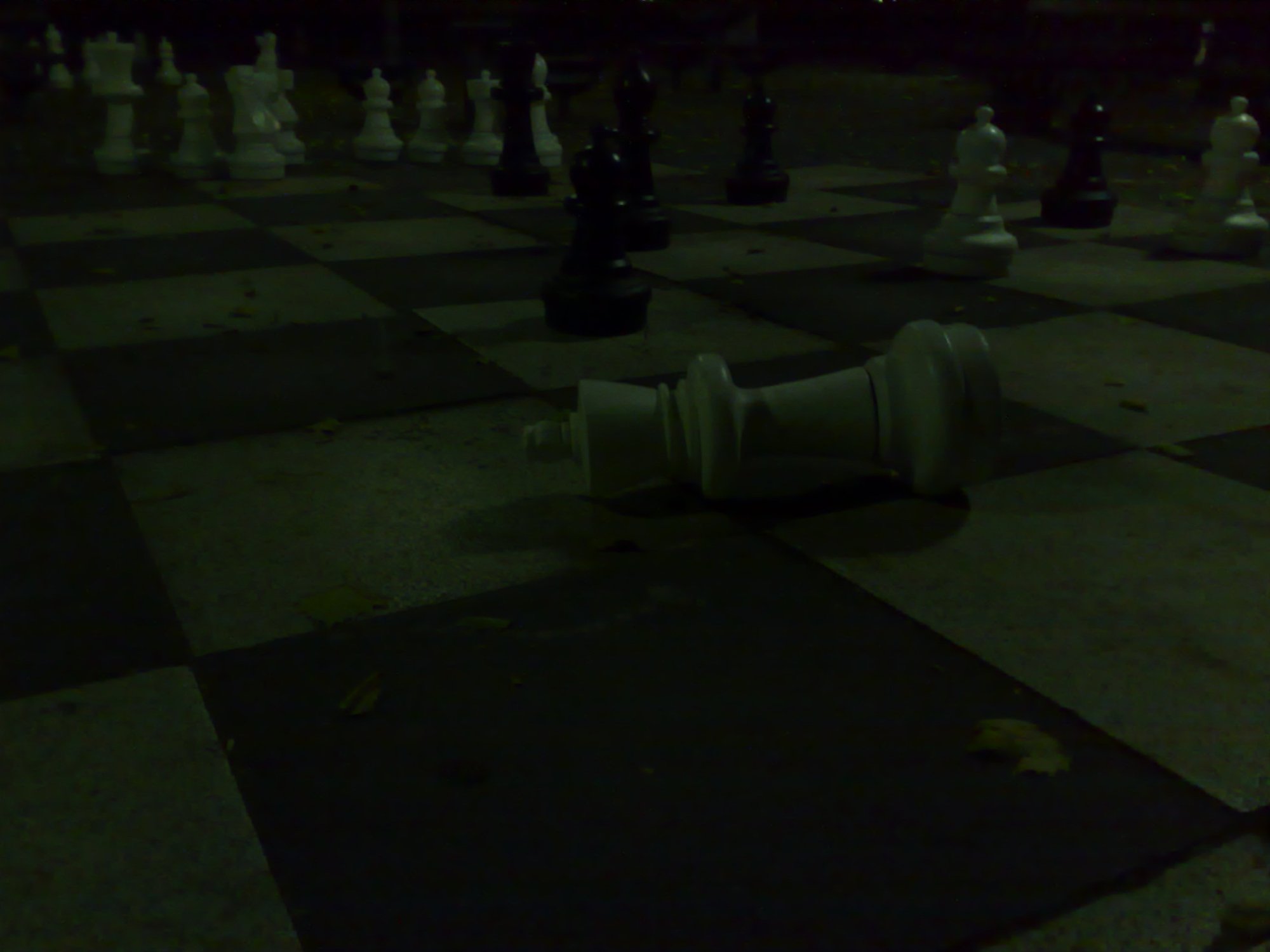 The fallen