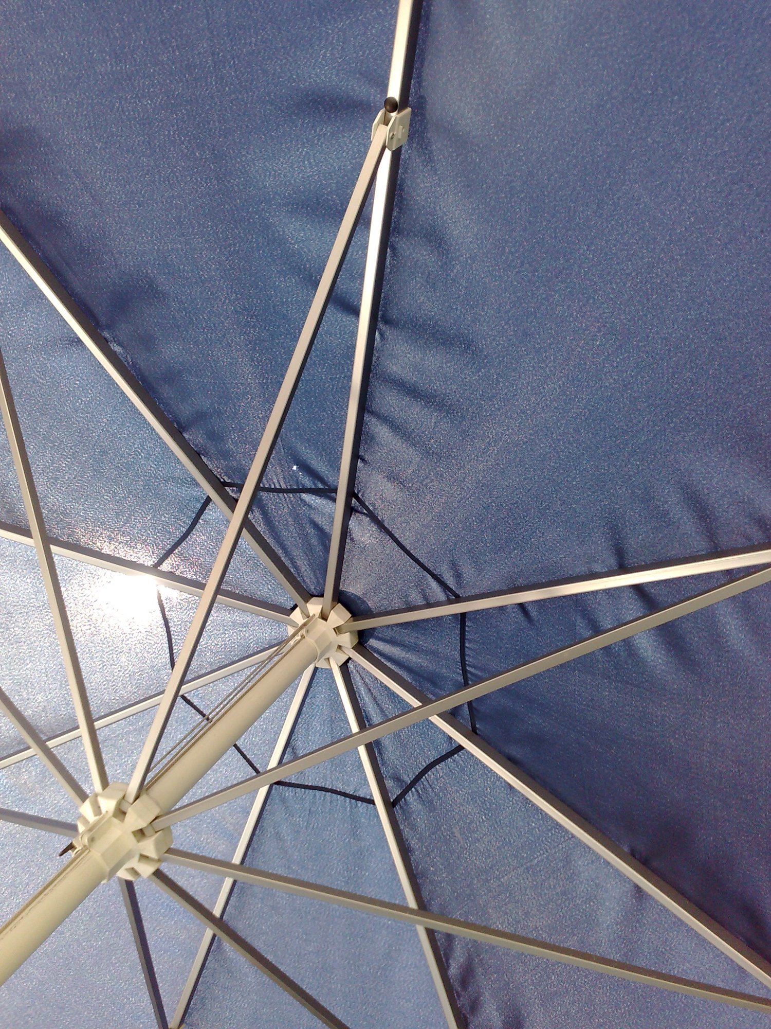 Umbrella