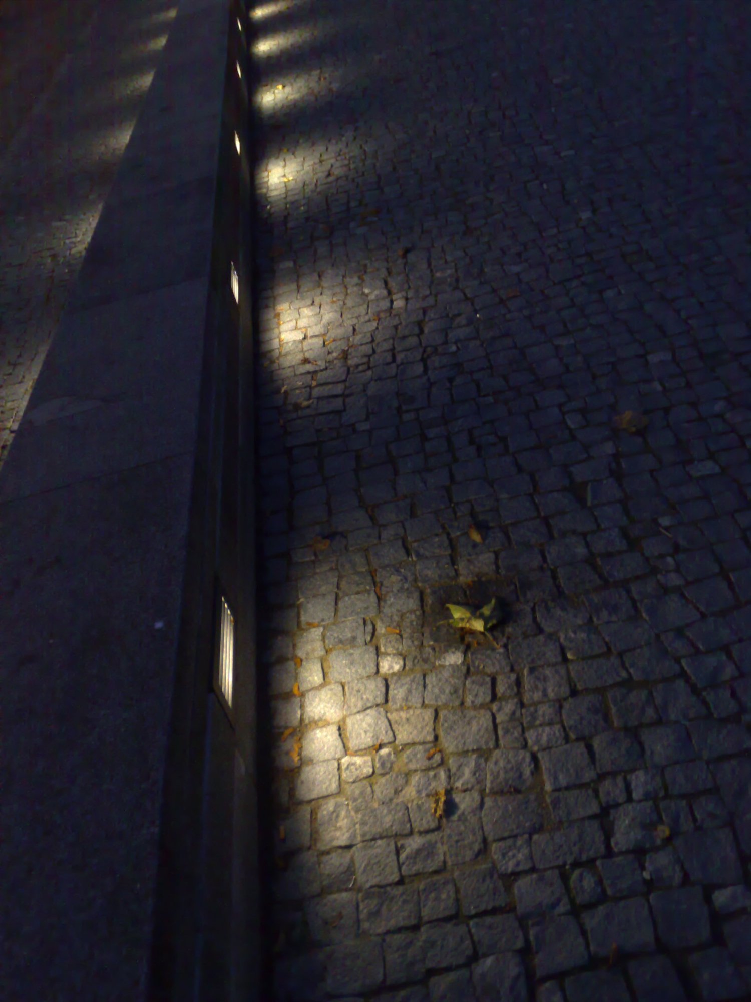 In the limelight