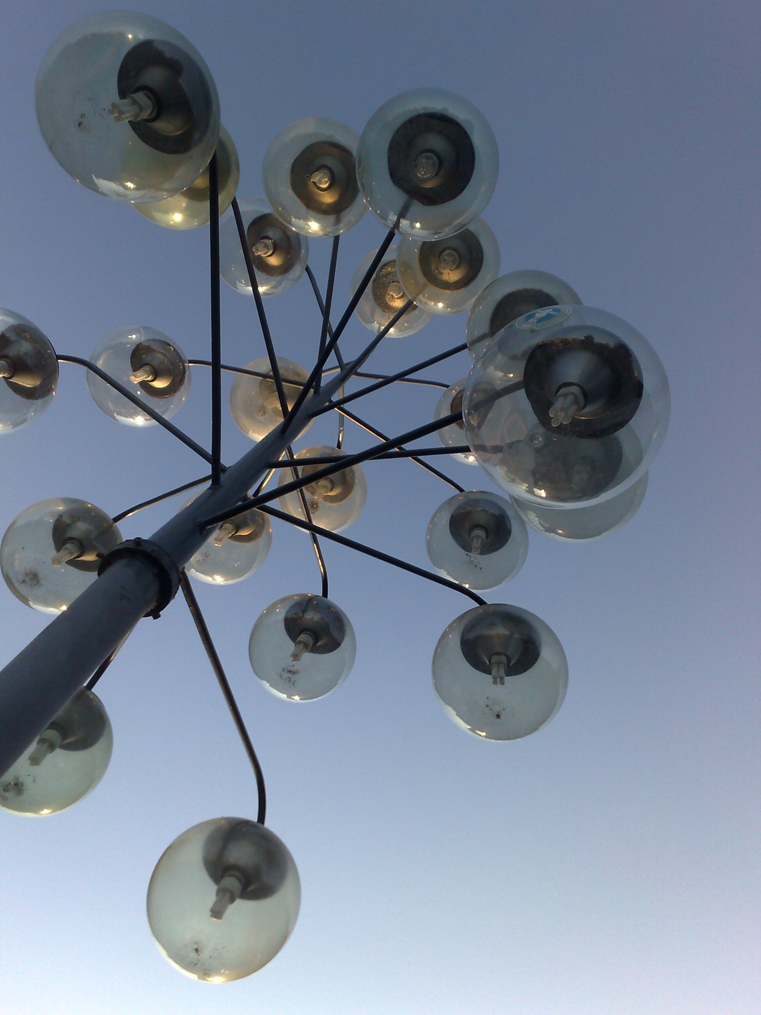 Light tree