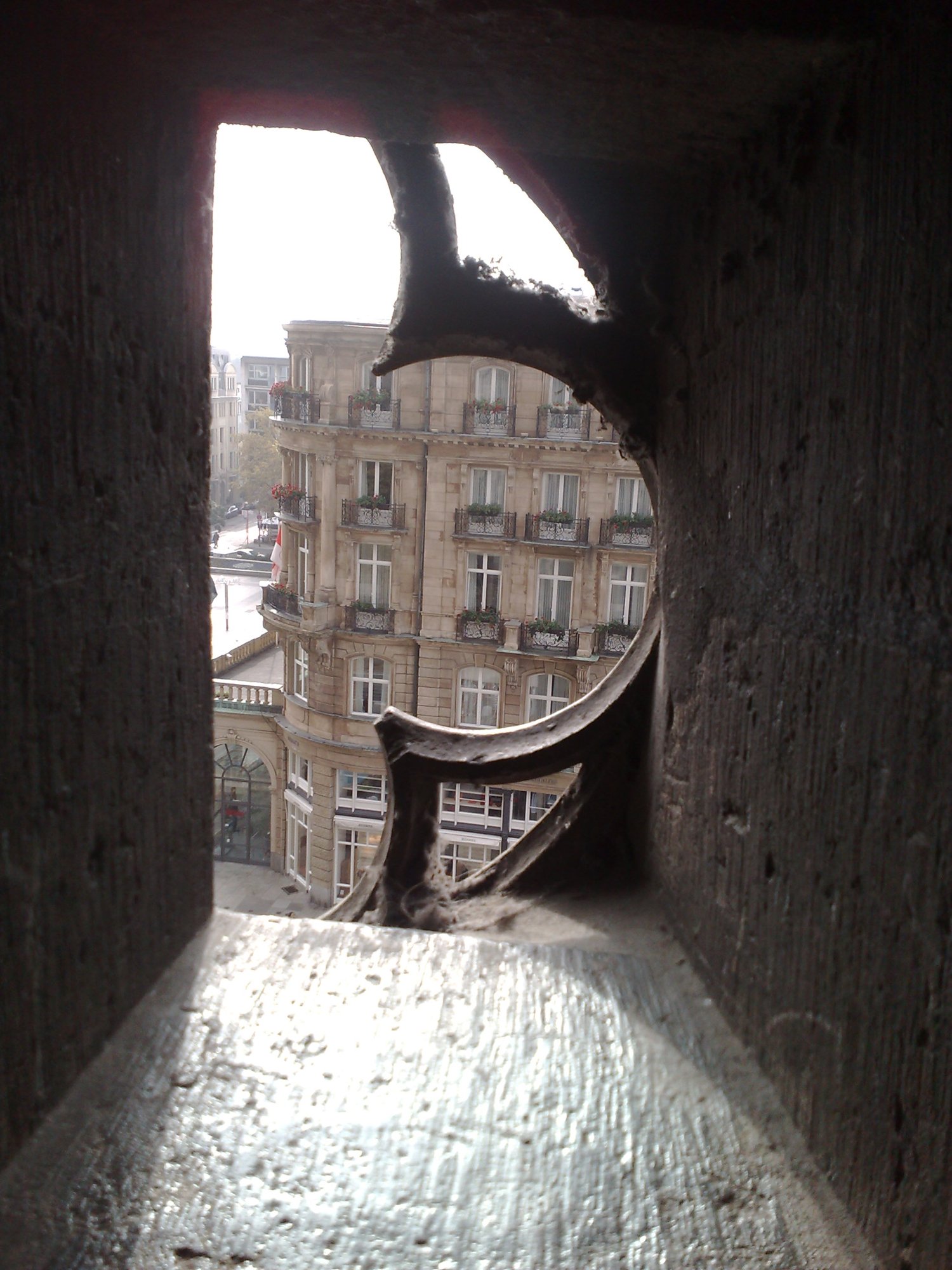 Looking out