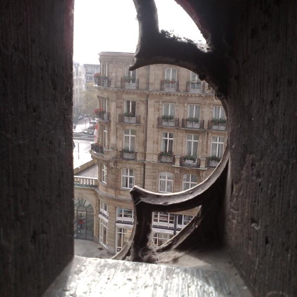 Looking out