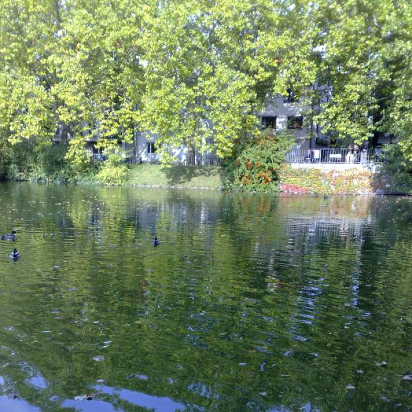 Peaceful views
