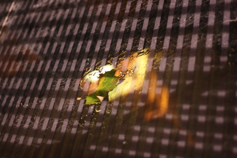Leaf on St Stephen's Tower