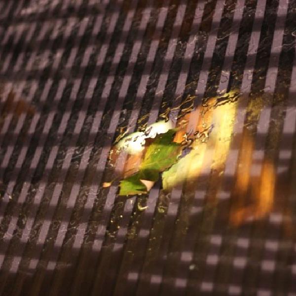 Leaf on St Stephen's Tower