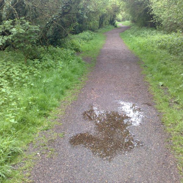 Woodland walk