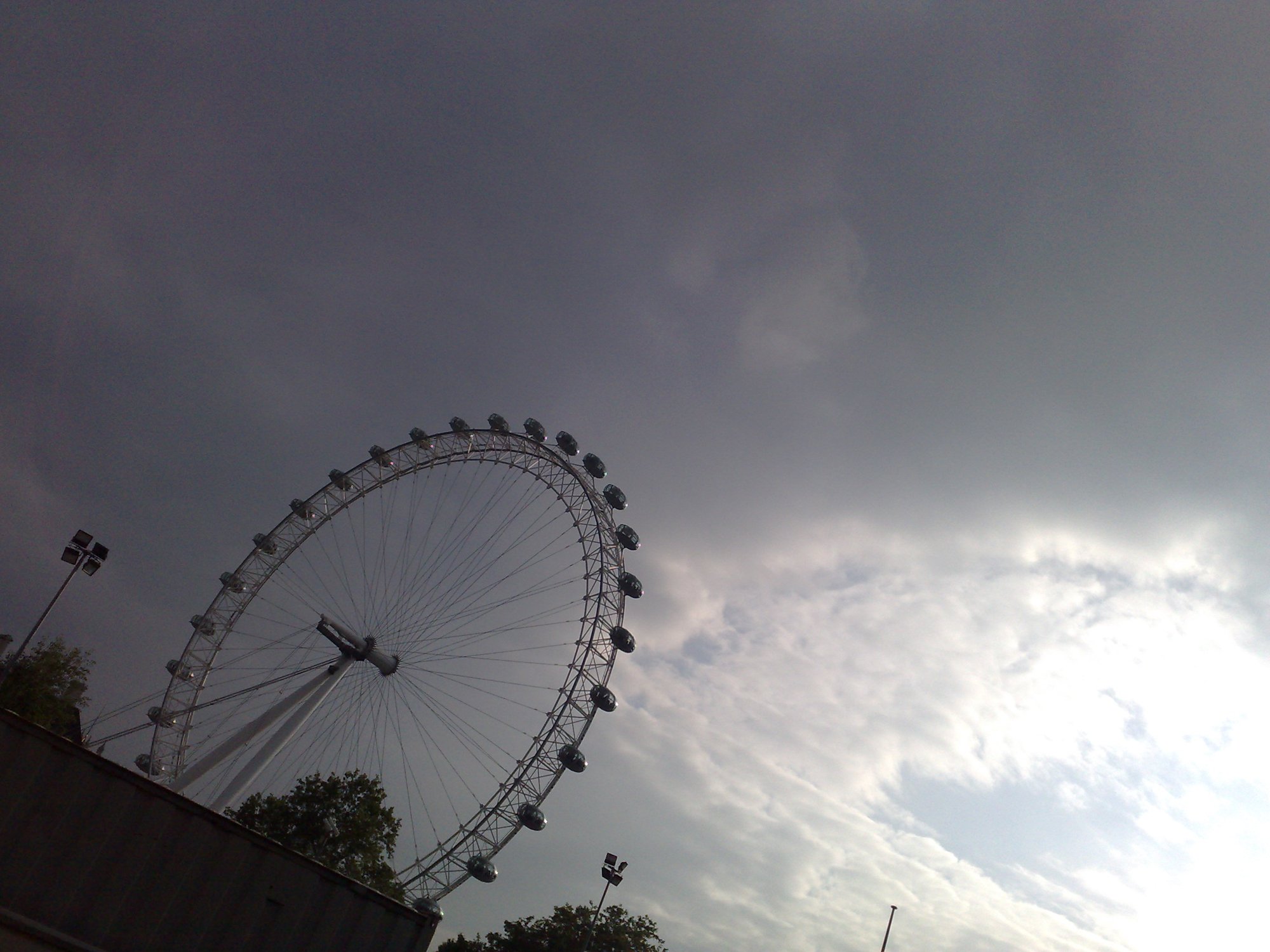 Clouded Eye