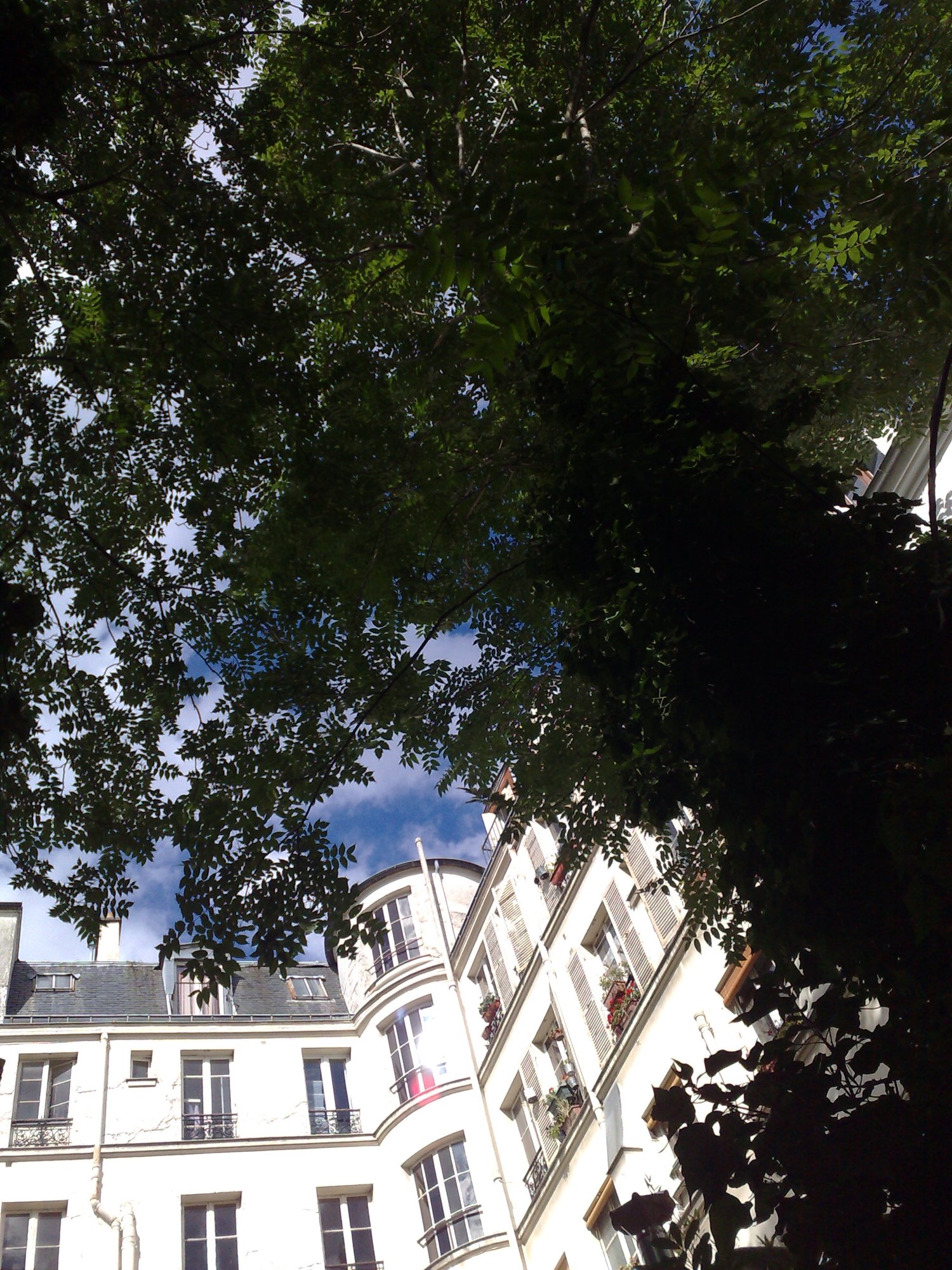 Bistro des Dames