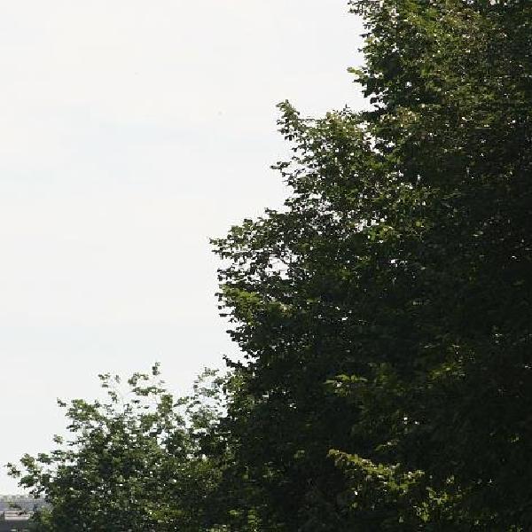 Sacré-Cœur
