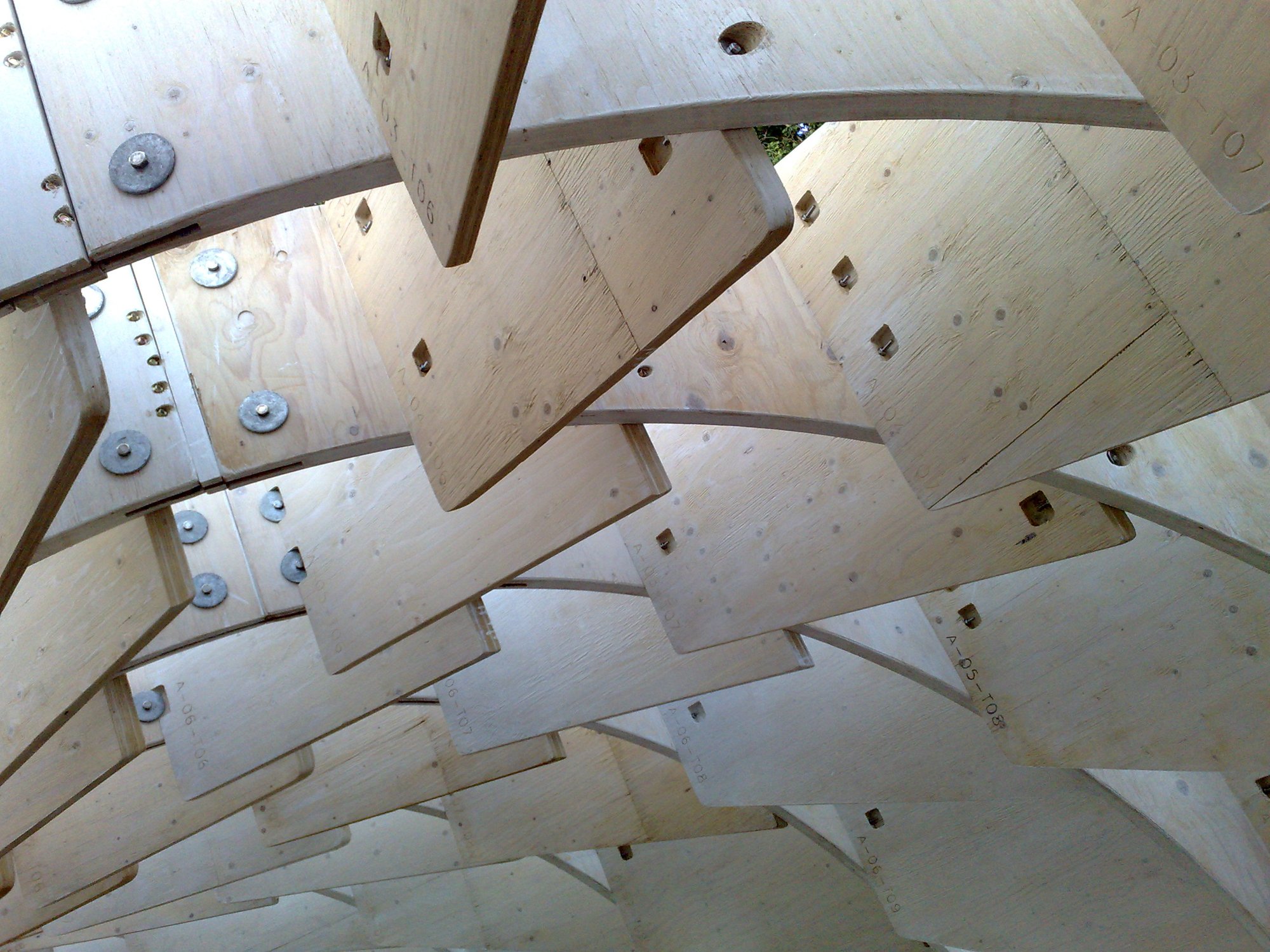 Looking up at the Swoosh