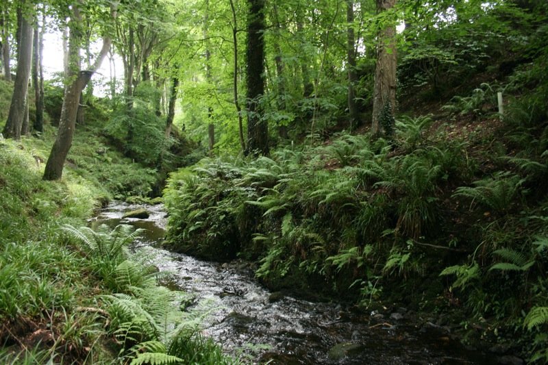 Colby Glen