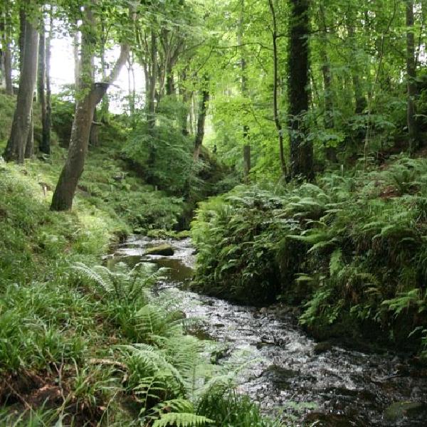 Colby Glen