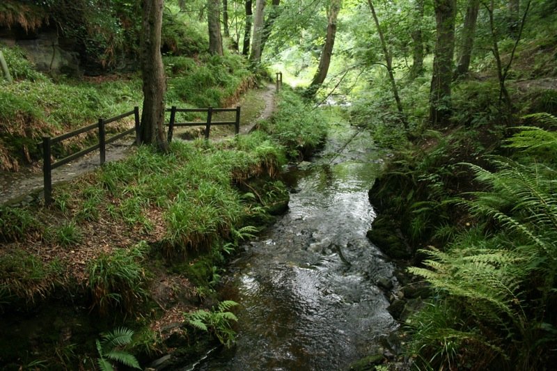 Colby Glen
