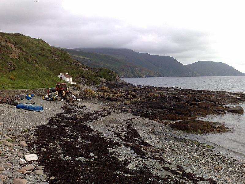 Niarbyl