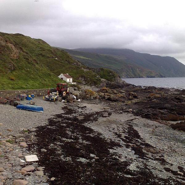 Niarbyl