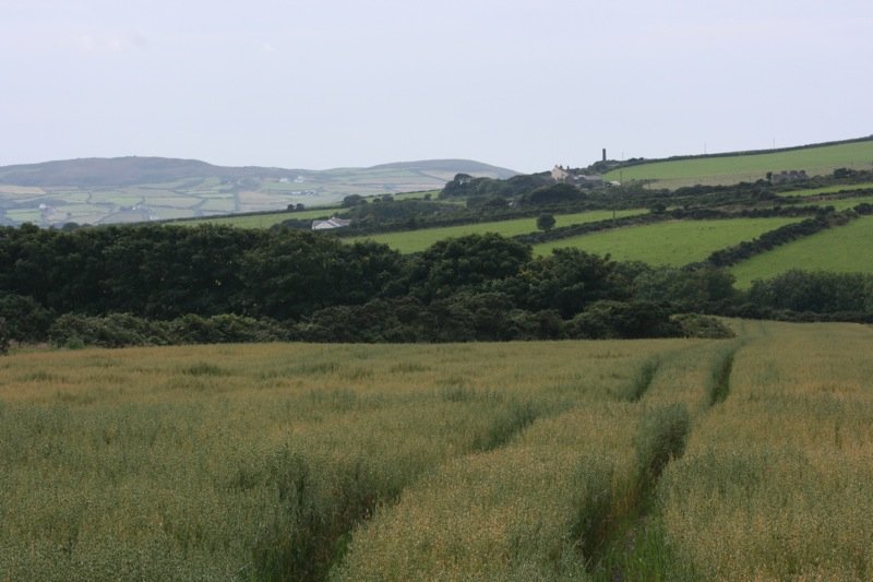 Top of Colby Glen