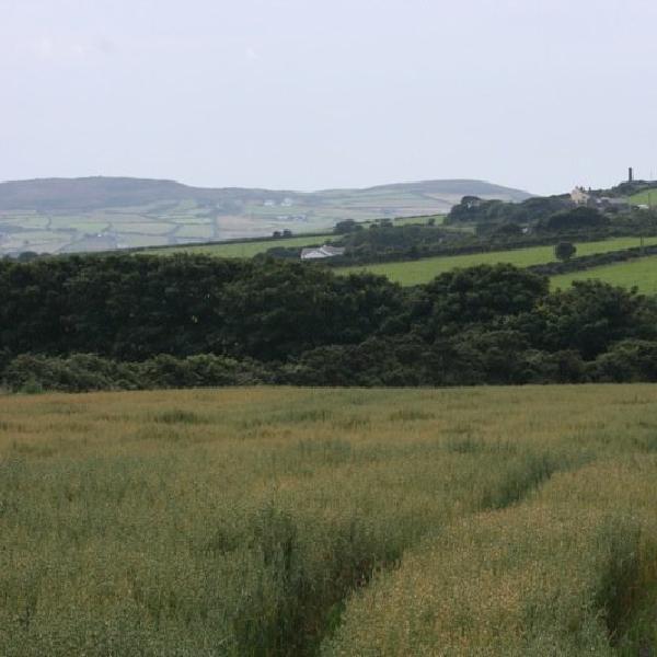 Top of Colby Glen