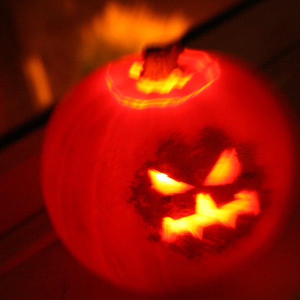 This year's pumpkin