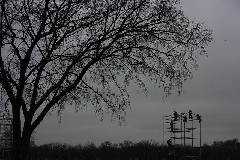 Climbing the metal tree