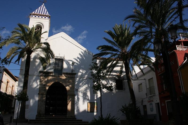 Palms by the church