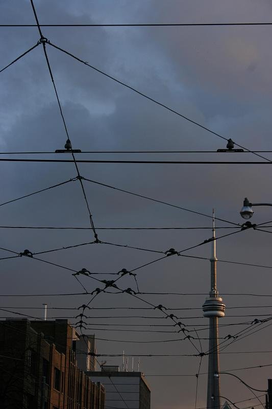 Trams to the CN Tower