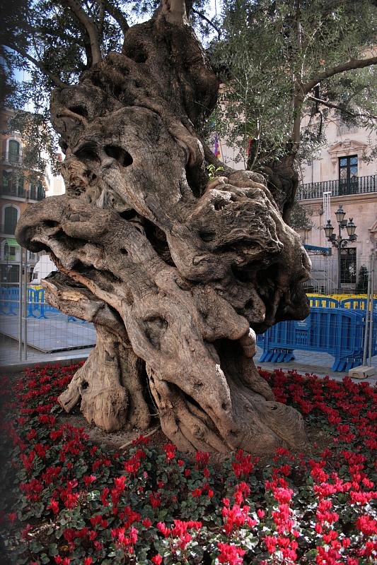 Supersize tree