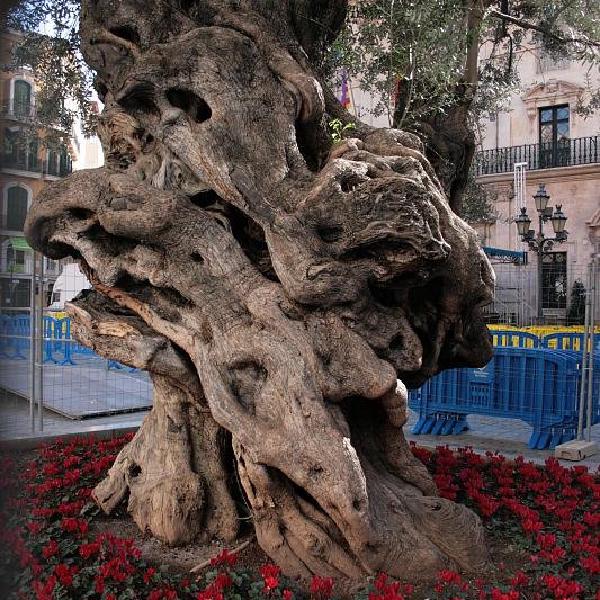 Supersize tree