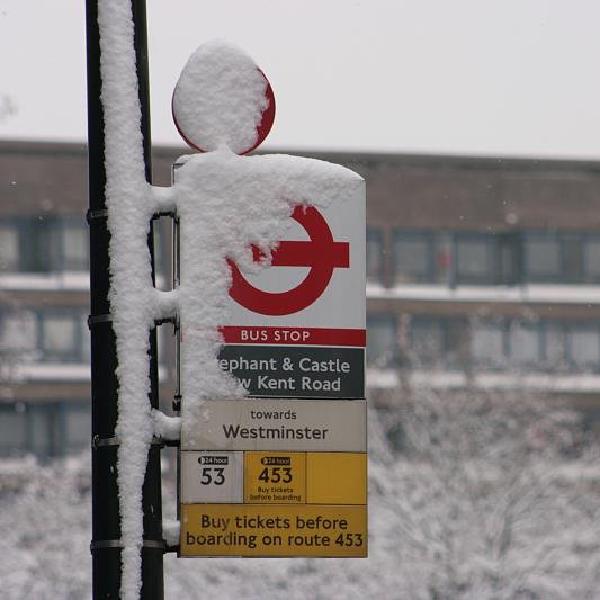 Buses not stopping