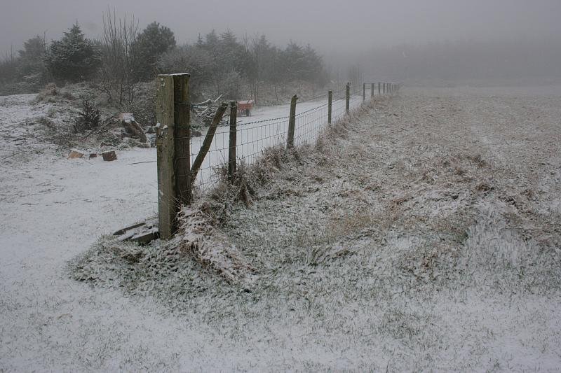 Fence perspective