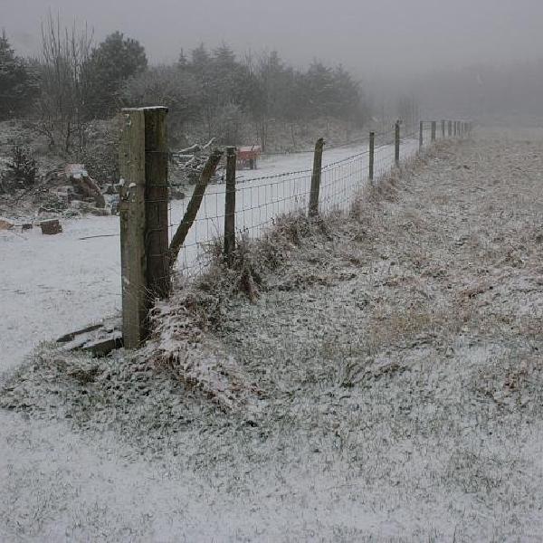 Fence perspective