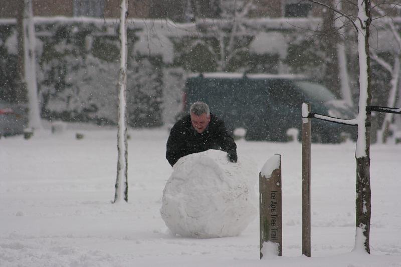 Rolling a giant snow ball