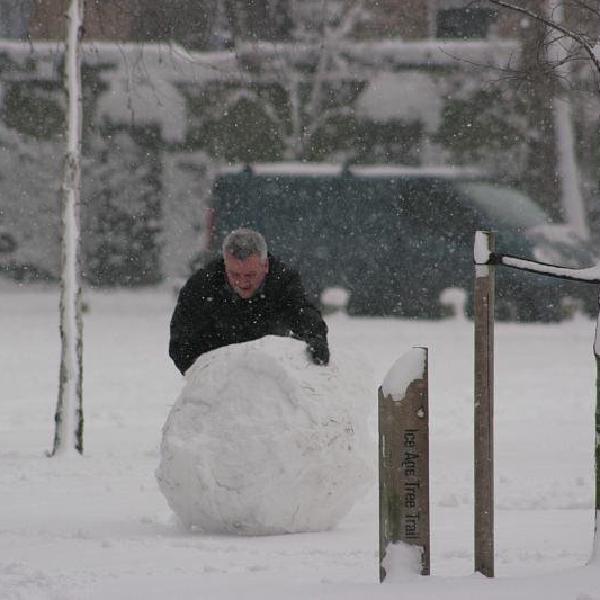 Rolling a giant snow ball