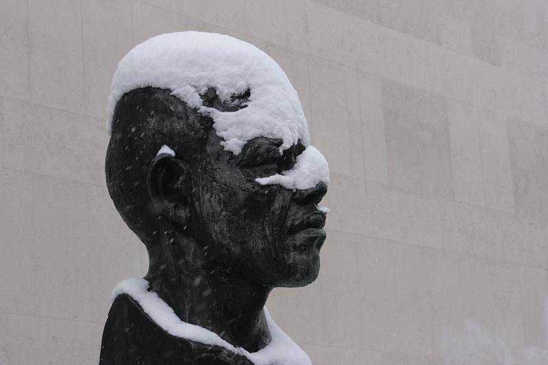 Snowy Mandela