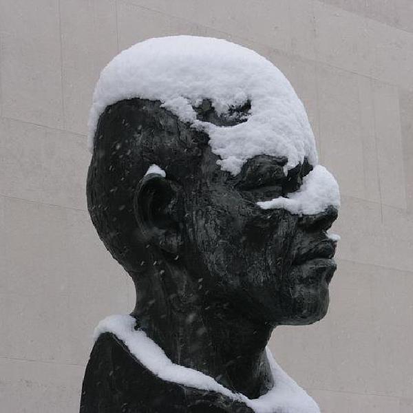 Snowy Mandela