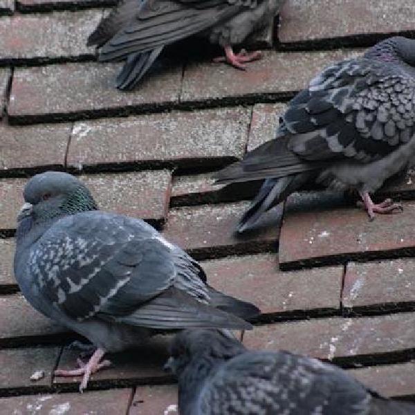 Waiting for the cold snap to pass
