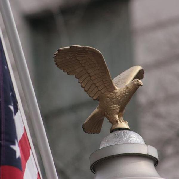 Tethered eagle