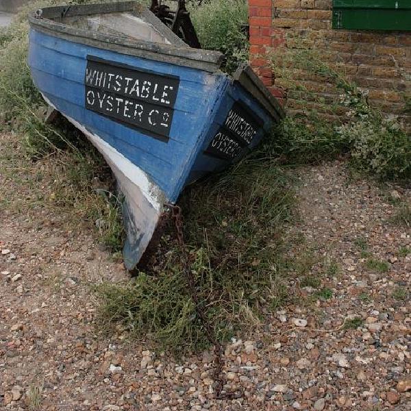 Whitstable Oyster Co