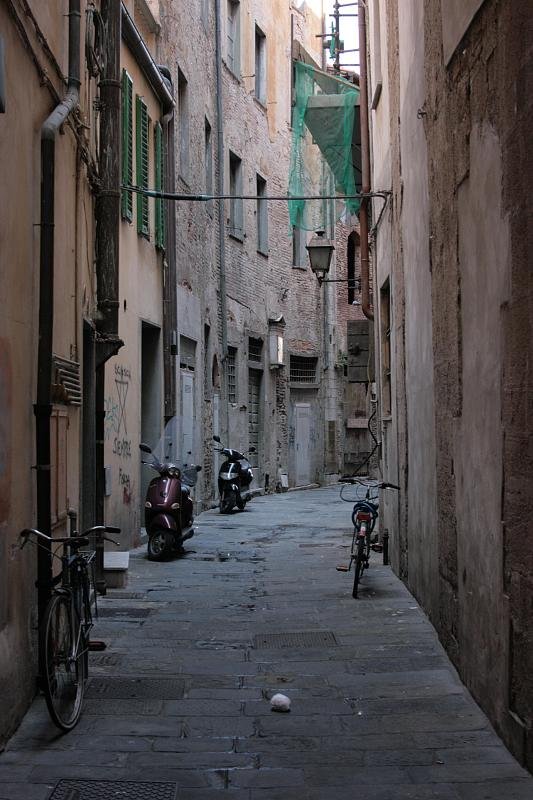 Bikes in the back street